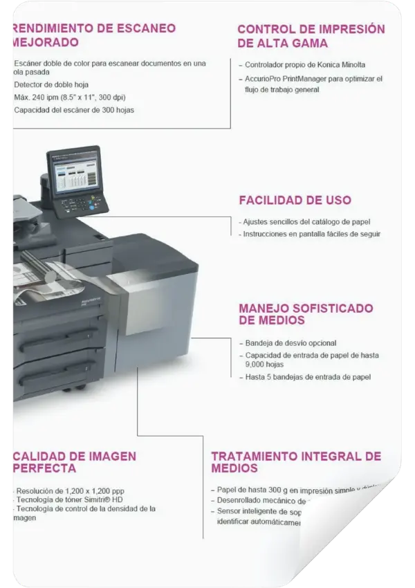 ejemplo_traduccion simple español